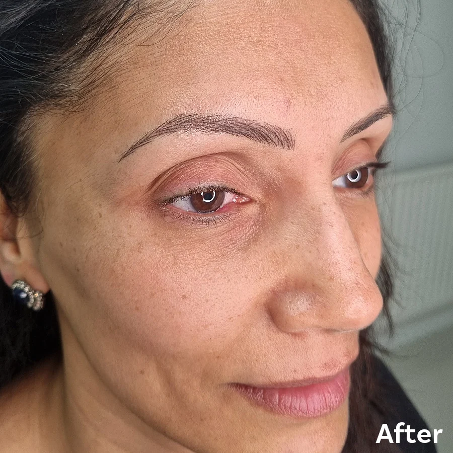 Hair Stroke Brows After